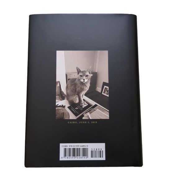 Patti Smith: Book Of Days, New 2022 Bestseller, gift, punk music, hardcover, art - Picture 3 of 8